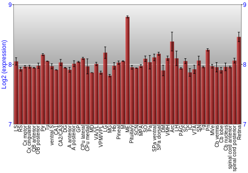 Expression graph