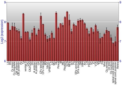 Expression graph