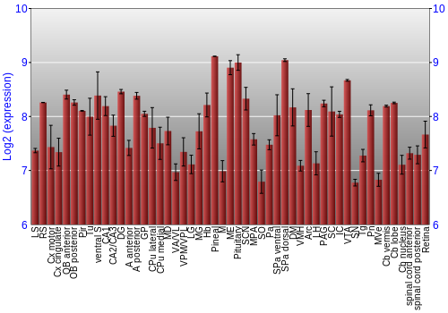 Expression graph