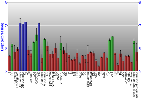 Multi-state expression graph