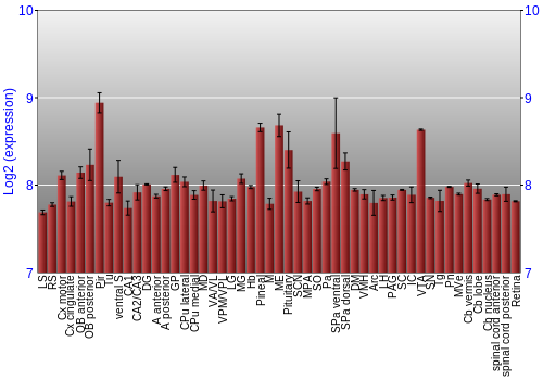 Expression graph