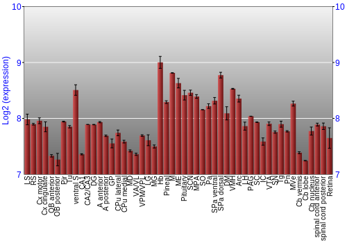 Expression graph