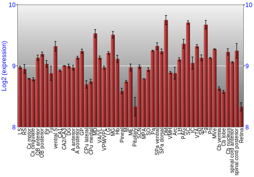 Expression graph