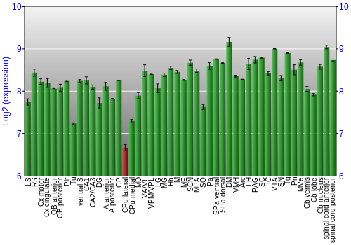 Multi-state expression graph
