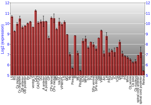Expression graph