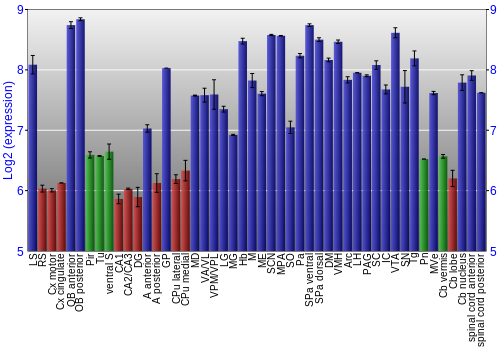 Multi-state expression graph