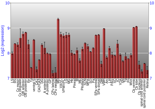 Expression graph