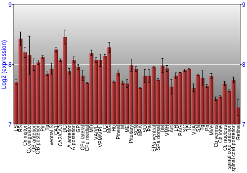 Expression graph