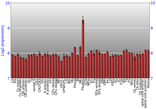 Expression graph