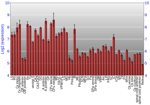 Expression graph