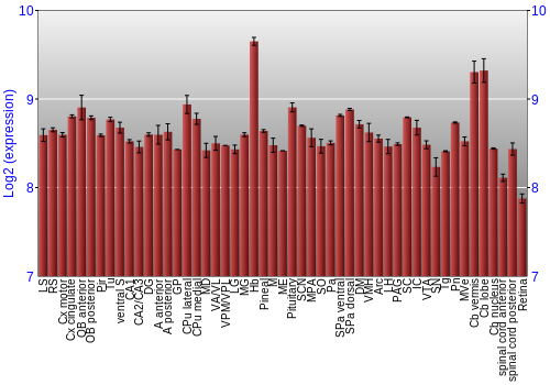 Expression graph