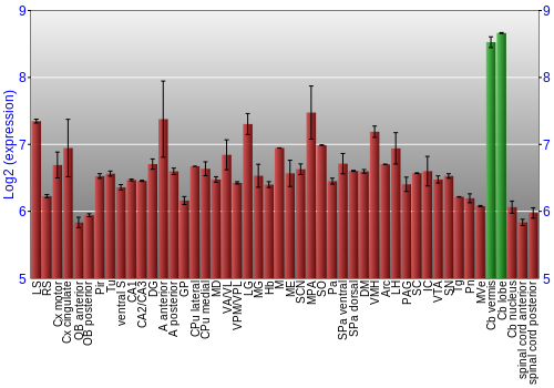 Multi-state expression graph