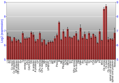 Expression graph