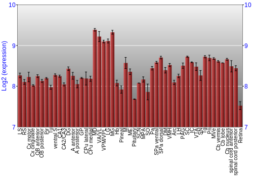 Expression graph