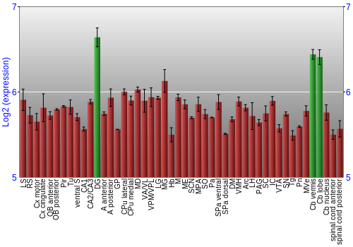 Multi-state expression graph