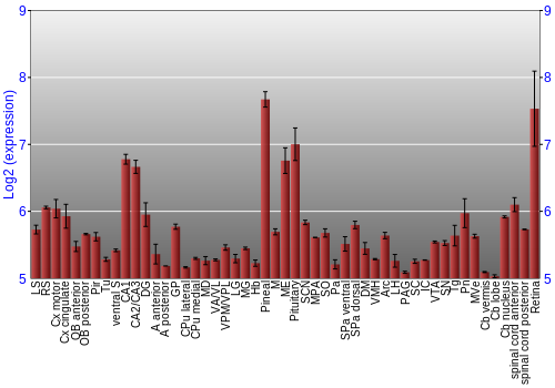 Expression graph