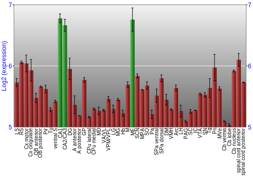 Multi-state expression graph