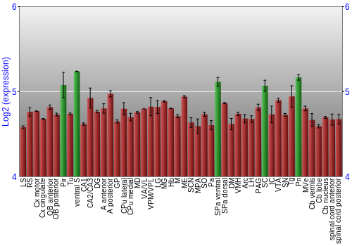 Multi-state expression graph
