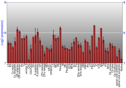 Expression graph