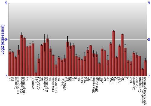 Multi-state expression graph