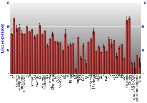 Expression graph