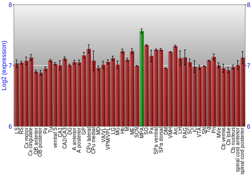 Multi-state expression graph