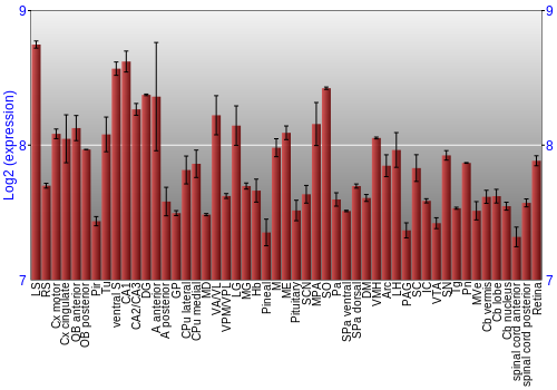 Expression graph