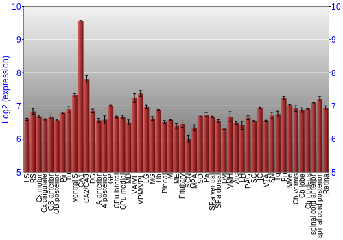 Expression graph