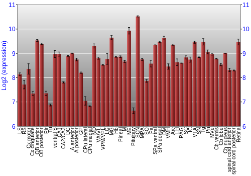 Expression graph