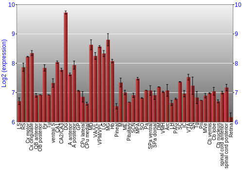 Expression graph
