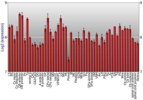 Expression graph