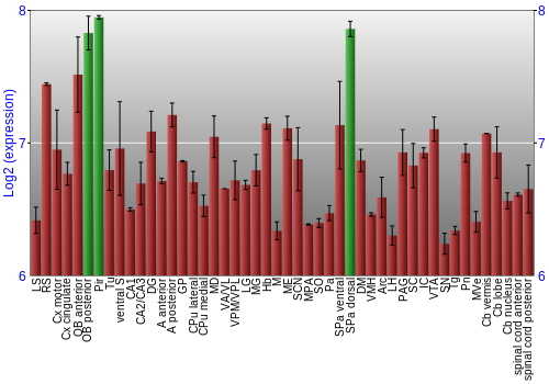 Multi-state expression graph