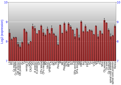Expression graph