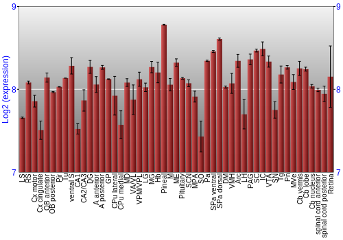 Expression graph