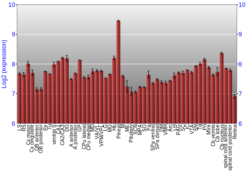 Expression graph