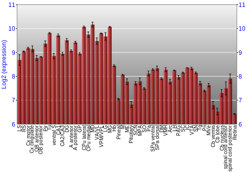 Expression graph