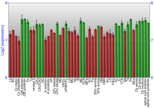 Multi-state expression graph
