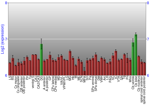 Multi-state expression graph