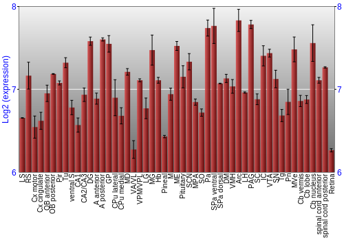 Expression graph