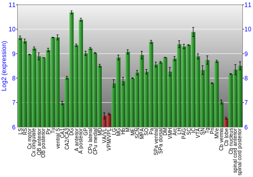 Multi-state expression graph