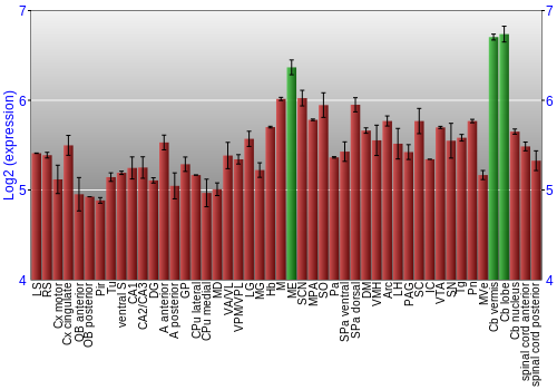 Multi-state expression graph