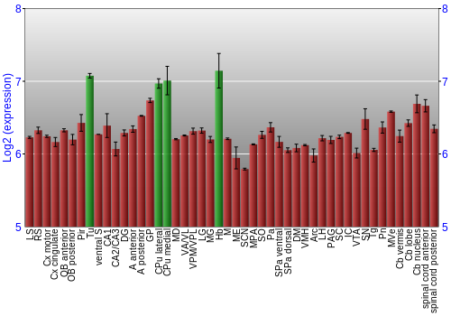 Multi-state expression graph