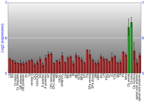 Multi-state expression graph