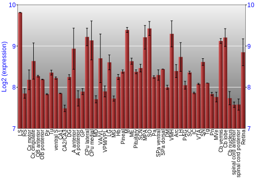Expression graph