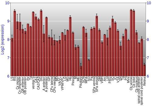 Expression graph