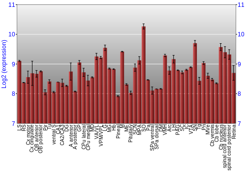 Expression graph