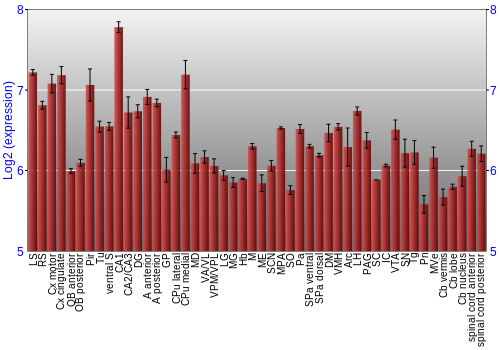 Multi-state expression graph