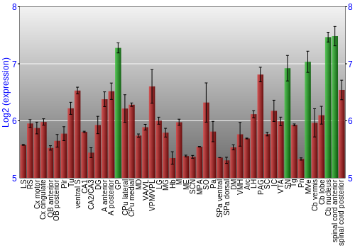 Multi-state expression graph