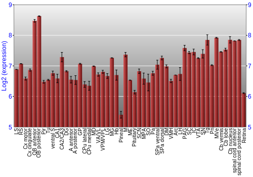 Expression graph