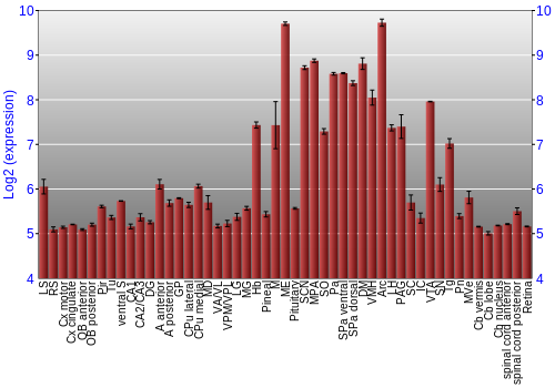 Expression graph